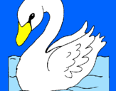 Desenho Cisne pintado por giovanna