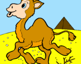 Desenho Camelo pintado por yuri