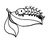 Desenho Lagarta numa folha pintado por lagarta