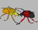 Desenho Escaravelhos pintado por hufujtrvhthvzdfbdd