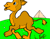 Desenho Camelo pintado por tico