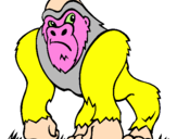 Desenho Gorila pintado por Pedro