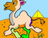 Desenho Camelo pintado por marcela