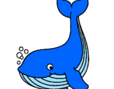 Desenho Pequena baleia pintado por FABI