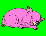 Desenho Porco a dormir pintado por giulia.l.v
