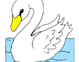 Desenho Cisne pintado por macaquinho