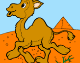 Desenho Camelo pintado por Bruno