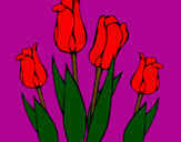 Desenho Tulipa pintado por giullia vazquez