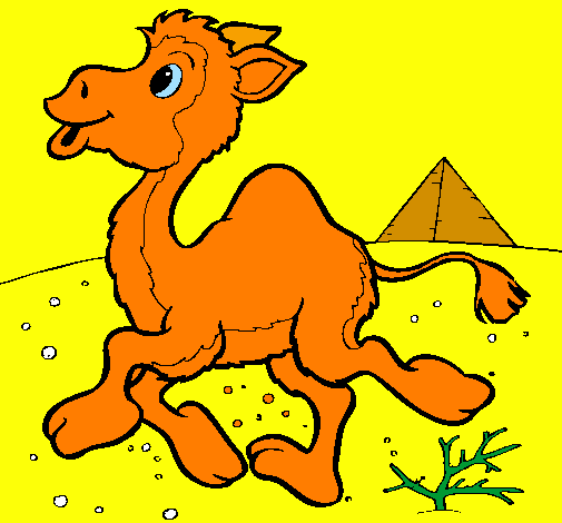 Desenho Camelo pintado por camelo
