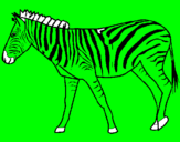 Desenho Zebra pintado por thalles