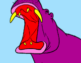 Desenho Hipopótamo com a boca aberta pintado por hiury