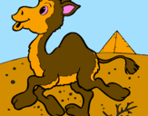 Desenho Camelo pintado por **Cris**
