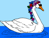 Desenho Cisne com flores pintado por Naty