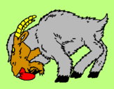 Desenho Cabra aborrecida pintado por hiury