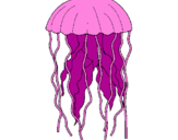 Desenho Medusa pintado por FABI