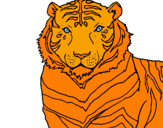 Desenho Tigre pintado por leoa