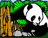 Desenho Urso panda e bambu pintado por PEDRO