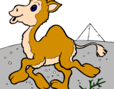 Desenho Camelo pintado por katita