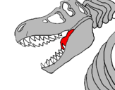 Desenho Esqueleto tiranossauro rex pintado por gian