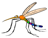 Desenho Mosquito pintado por mucade