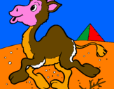 Desenho Camelo pintado por vasco marques