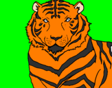 Desenho Tigre pintado por Yan