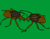 Desenho Escaravelhos pintado por FELIPE SCHMOLLER