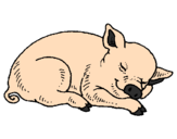 Desenho Porco a dormir pintado por anónimo