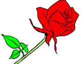 Desenho Rosa pintado por cinderela