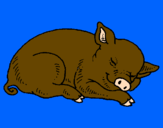 Desenho Porco a dormir pintado por thiago
