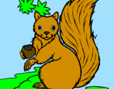 Desenho Esquilo pintado por julia  gomes