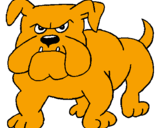 Desenho Cão Bulldog pintado por CARLINHOS