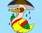 Desenho Pato sob a chuva pintado por lucas