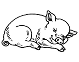 Desenho Porco a dormir pintado por f