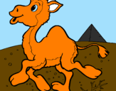 Desenho Camelo pintado por ande rson e  ronisson 