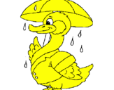 Desenho Pato sob a chuva pintado por João Lukas