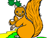 Desenho Esquilo pintado por Dudu
