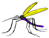 Desenho Mosquito pintado por Dudu
