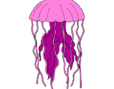 Desenho Medusa pintado por Daniel