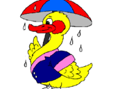 Desenho Pato sob a chuva pintado por Murilo