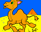 Desenho Camelo pintado por ana gabriela