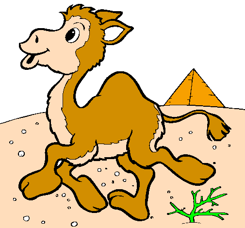 Desenho Camelo pintado por fabiana