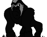 Desenho Gorila pintado por Dudu