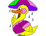Desenho Pato sob a chuva pintado por joao    lucas