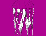 Desenho Medusa pintado por jhyhrwewsa