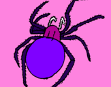 Desenho Aranha venenosa pintado por ines aranha