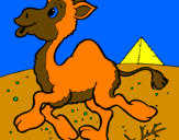 Desenho Camelo pintado por ana clara