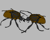 Desenho Escaravelhos pintado por matheus  9anos