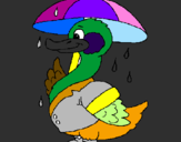Desenho Pato sob a chuva pintado por nathielle