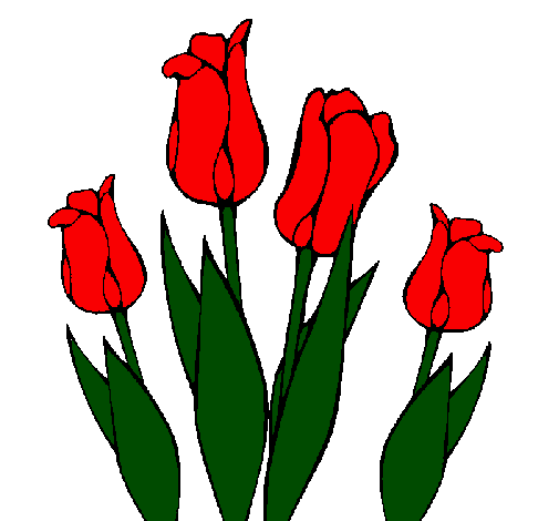 Desenho Tulipa pintado por OLIVIA